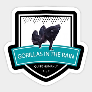 Rainfall Zoo Gorillas In The Rain Sticker